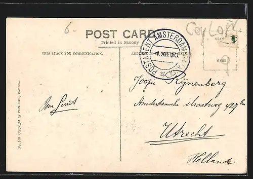 AK Elefanten, Temple Elephants at Katugastota, Ceylon