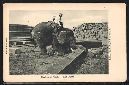 AK Rangoon, Elephant at Work