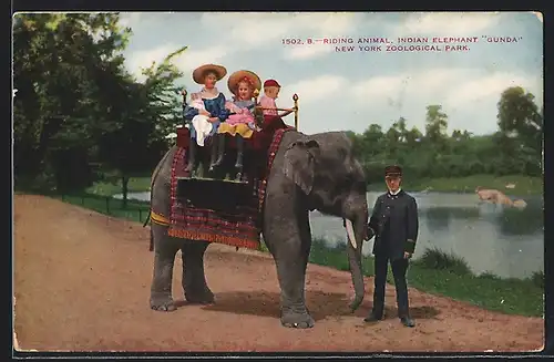 AK New York, Zoo, Riding animal Elephant Gunda