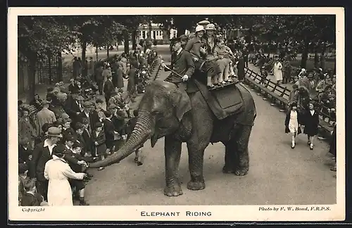 AK London, Garden of the Zoological Society, Regent`s Park, Elephant Riding
