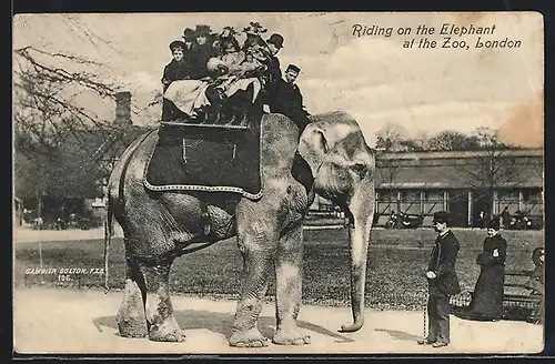 AK London, Zoo, Riding on the Elephant