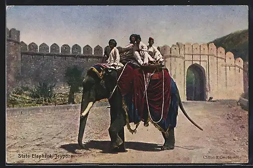 AK Jeypore, State Elephant