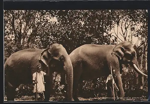 AK Panebokke Walauwa Gampola, Elephants and their Keepers