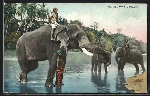 AK Fine tuskers, Arbeits-Elefanten am Wasser