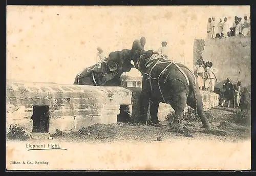 AK Elefantenkampf mit Publikum