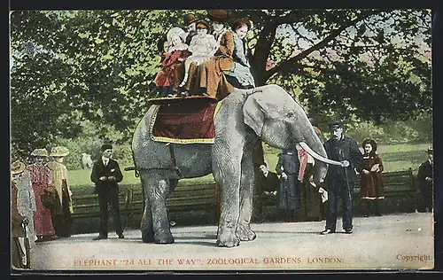 AK London, Zoo, Elephant 2nd All The Way