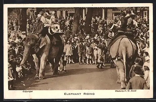 AK Zoo-Besucher reiten auf Elefanten