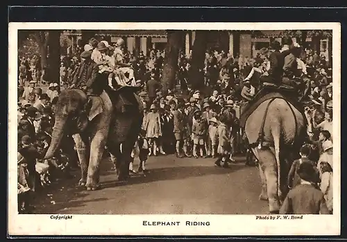 AK Zoo-Besucher reiten auf Elefanten