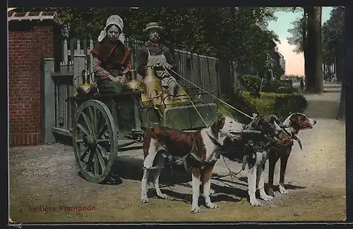 AK Flämisches Milchbauernpaar auf seinem Hundegespann