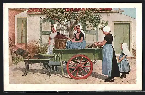 AK Zeeland, Walchersche hondenkar, Frauen an einem Hundewagen