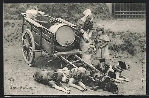 AK Hundegespann ruht sich nach einer langen Fahrt aus