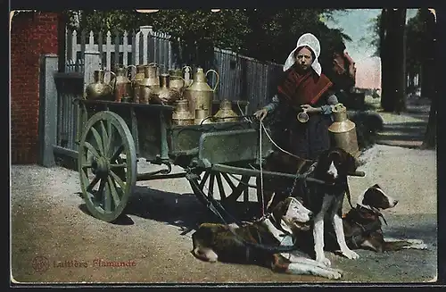 AK Laitieres Flamande, Frau in Tracht mit Hundegespann