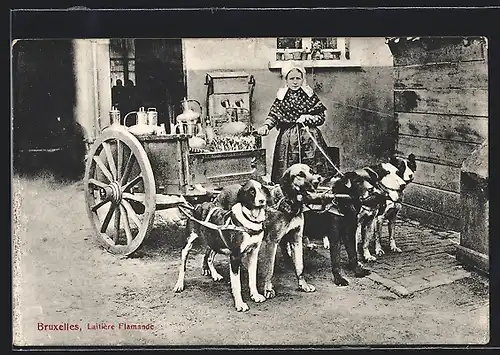 AK Bruxelles, Laitière Flamande, Hundegespann