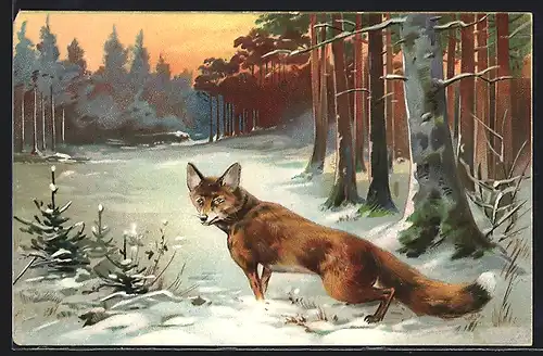 AK Fuchs auf einem schneebedeckten Waldweg im Abendrot