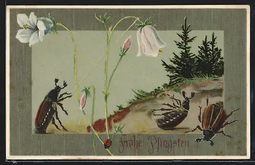 AK Maikäfer mit Bindfäden an einer Blume, Pfingstgruss