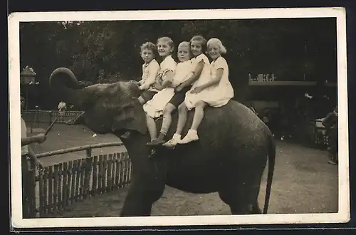 Foto-AK Fröhliche Kindergruppe auf einem Elefantenrücken