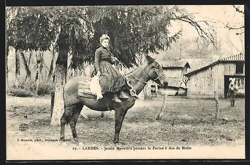 AK Aquitanien / Aquitaine, Landes, Jeune Meunière portant la Farine à dos de Mulet