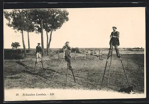 AK Aquitanien / Aquitaine, Trois Echassiers Landais