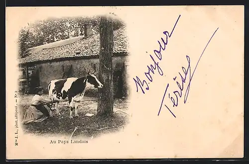 AK Aquitanien / Aquitaine, Au Pays Landais, eine Frau melkt eine Kuh