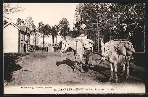 AK Aquitanien / Aquitaine, Landes, Une Meunière