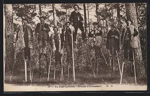 AK Aquitanien / Aquitaine, Landes, Groupe d`Echassiers