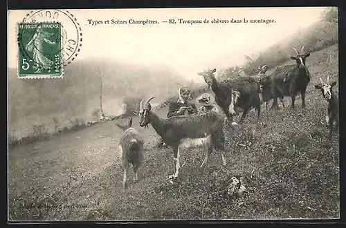 AK Aquitanien / Aquitaine, Troupeau de chèvres dans la montagne