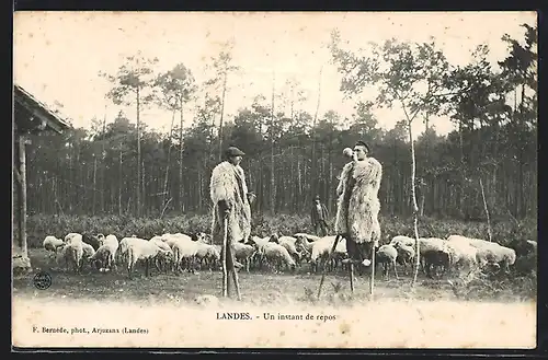 AK Landes, Un instand de repos, Hirten mit Schafherde