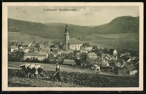 AK Stadtsteinach, Panoramablick mit landwirtschaftlichem Ochsengespann