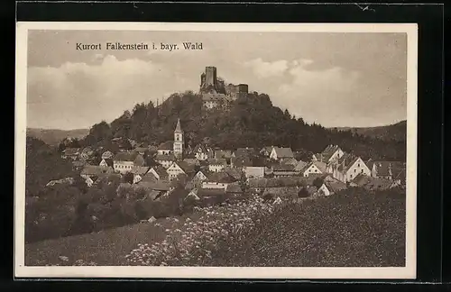 AK Falkenstein, Totalansicht mit Burg