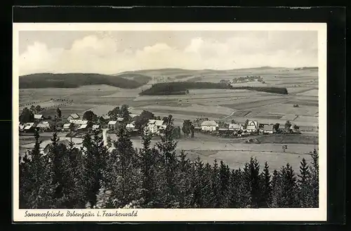 AK Bobengrün i. Frankenwald, Teilansicht