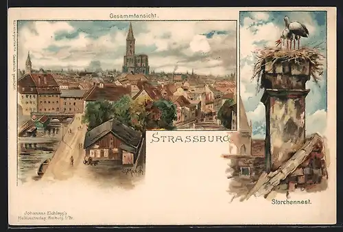 Künstler-Lithographie Carl Münch: Strassburg, Gesamtansicht, Storchennest