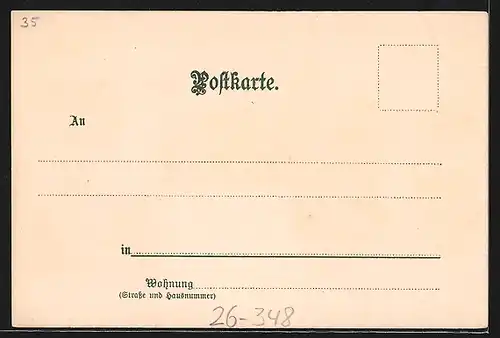 Künstler-Lithographie Carl Münch: Strassburg, Gesamtansicht, Storchennest