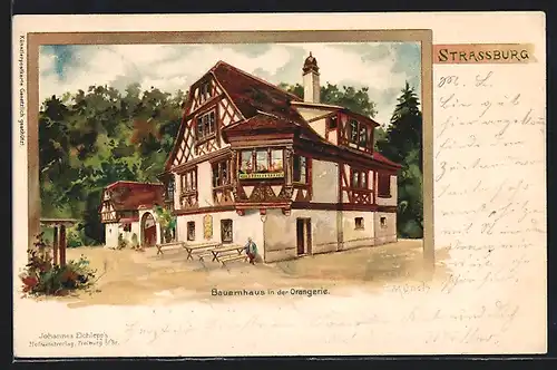 Künstler-AK Carl Münch: Strassburg, Bauernhaus in der Orangerie