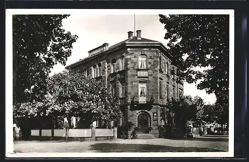 AK Miltenberg a. Main, Hotel-Pension Mainperle, Bes. Rupert Buchner