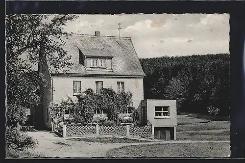 AK Wildensee im Spessart, Pension Haus Waldfrieden von Georg Beck