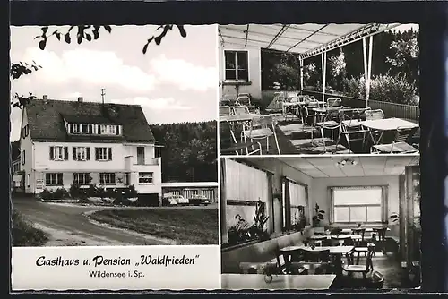 AK Wildensee, Gasthaus und Pension Haus Waldfrieden