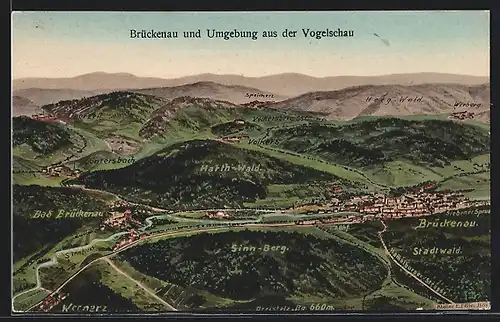 Künstler-AK Eugen Felle: Brückenau, Ort aus der Vogelschau und Umgebung, Stadtwald