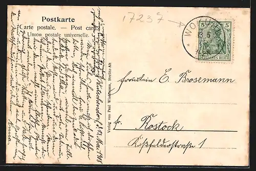 AK Strelitz, Partie am Technikum