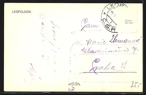 AK Leopoldov, Panorama