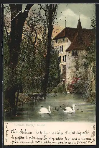 AK Hallwyl, Schloss vom Schwanenteich aus gesehen