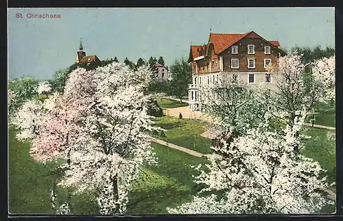 AK St. Chrischona, Wohnhaus während der Baumblüte