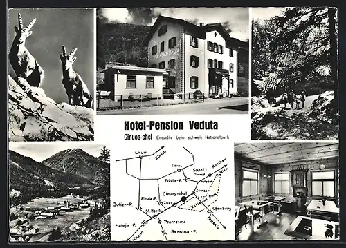AK Cinuos-Chel / Engadin, Hotel Pension Veduta, Innenansicht, Gämse, Landkarte mit München, Pontresina und Chur