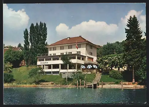 AK Meisterschwanden /Hallwilersee, Seehotel Delphin Fam. Fischer, vom Wasser gesehen