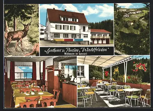 AK Wildensee / Spessart, Gasthaus-Pension Waldfrieden, Aussen- und Innenansichten