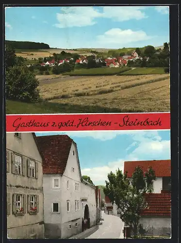 AK Steinbach / Würzburg, Gasthaus zum gold. Hirschen, Gesamtansicht