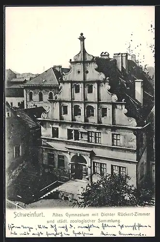 AK Schweinfurt, Blick auf das Alte Gymnasium mit Dichter Rückert-Zimmer und städtischer zoologischer Sammlung