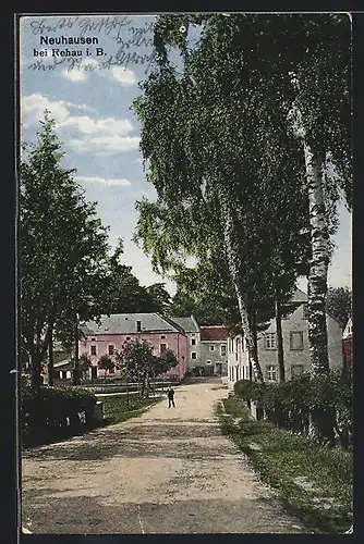 AK Neuhausen bei Rehau i. B., Strassenpartie mit Birken am Wegrand