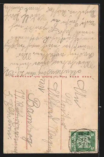 AK Neuhausen bei Rehau i. B., Strassenpartie mit Birken am Wegrand