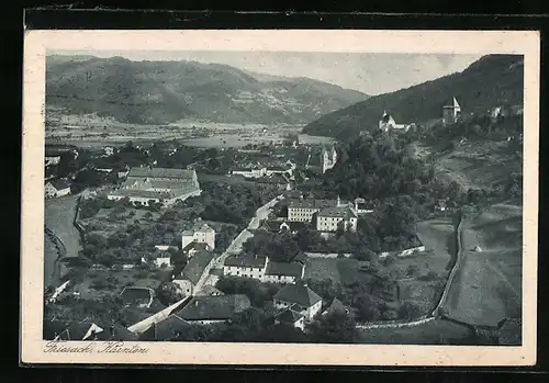 AK Friesach / Kärnten, Gesamtansicht