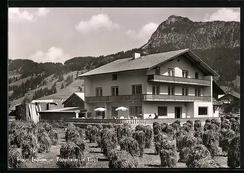 AK Tannheim / Tirol, Hotel-Pension Haus Enzian